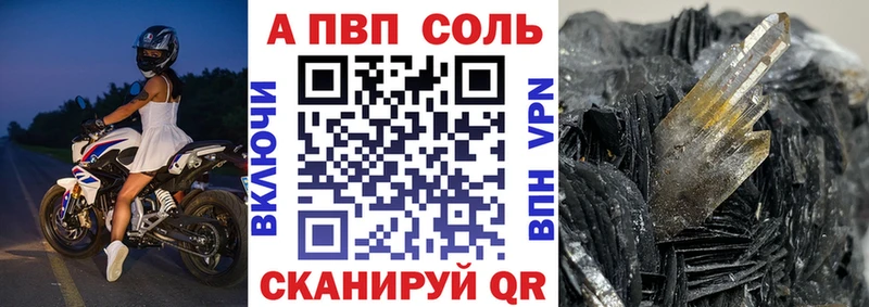 закладка  Шуя  APVP СК 