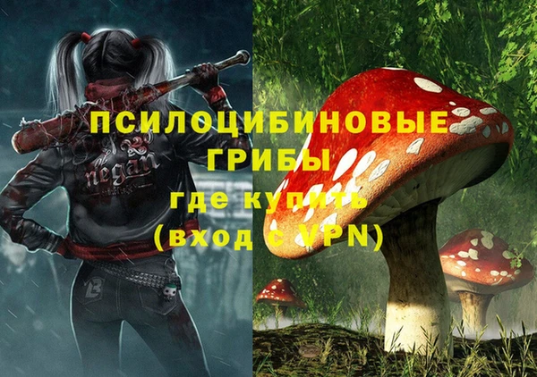 дмт Покачи