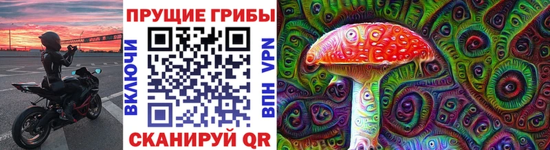 Псилоцибиновые грибы GOLDEN TEACHER  Шуя 