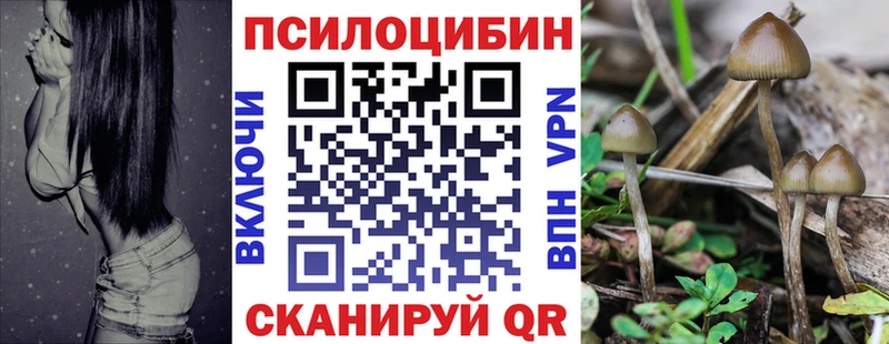 Галлюциногенные грибы Psilocybine cubensis Шуя
