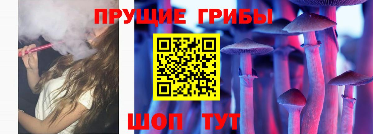 Псилоцибиновые грибы прущие грибы  Вход с VPN  Шуя 