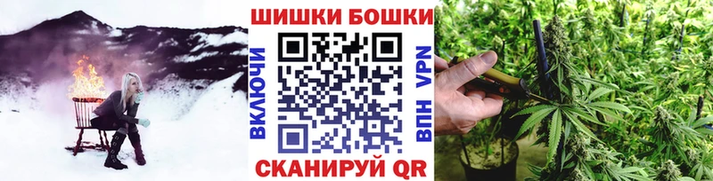 Бошки Шишки Amnesia  купить наркоту  Шуя 